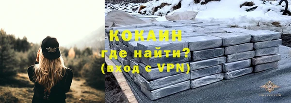 крисы Богородск